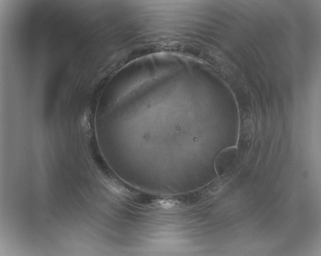 X0000071910654200607212043