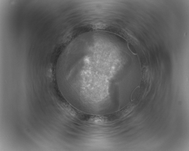 X0000071910655200607212043