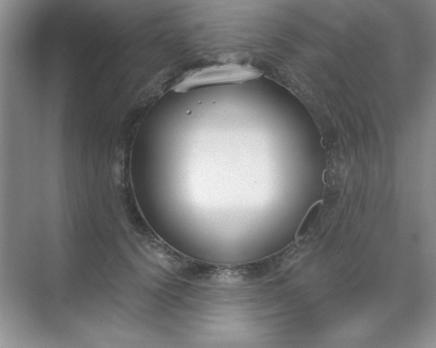 X0000071910656200607212043