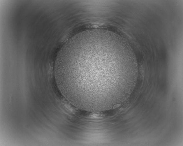 X0000071910657200607212043