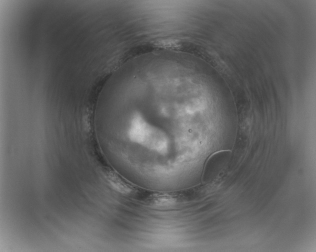 X0000071910658200607212043