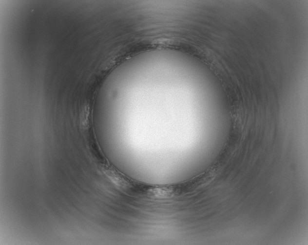 X0000071910660200607212043