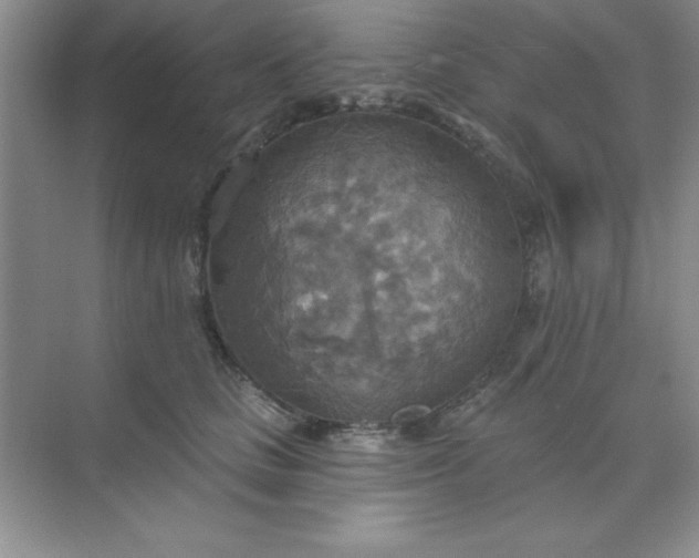 X0000071910661200607212043