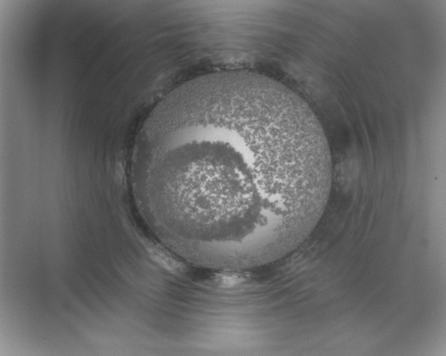 X0000071910662200607212044