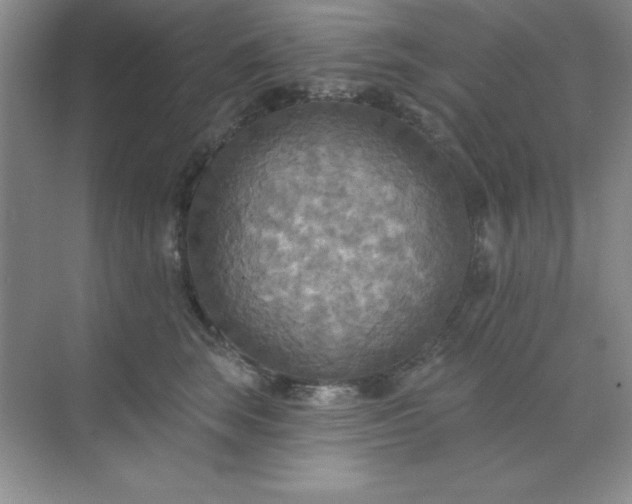 X0000071910663200607212044