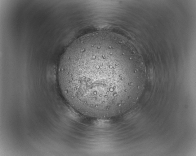 X0000071910664200607212044