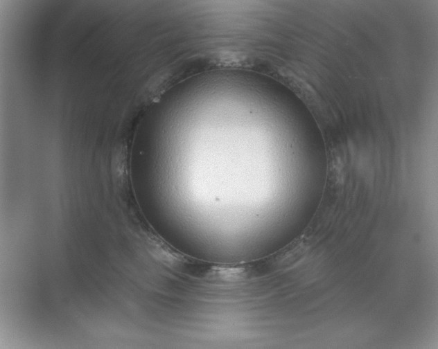 X0000071910665200607212044