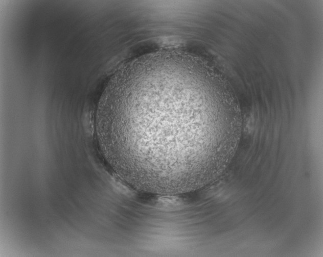 X0000071910666200607212044