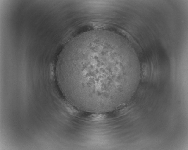 X0000071910667200607212044