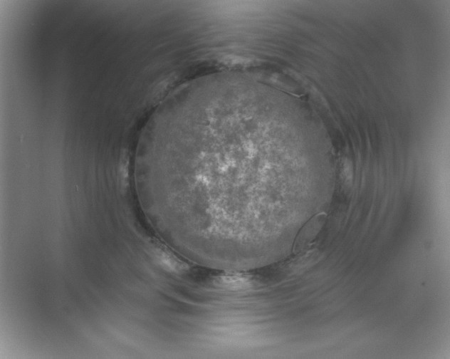 X0000071910668200607212044