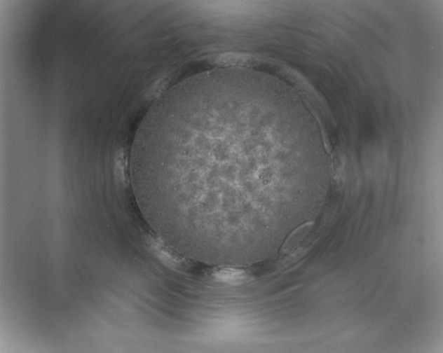 X0000071910669200607212044