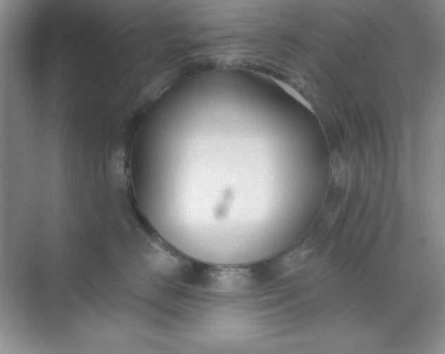 X0000071910670200607212044