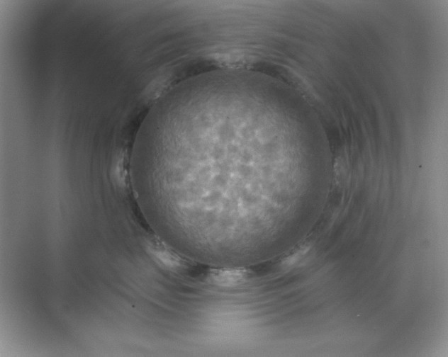 X0000071910671200607212044