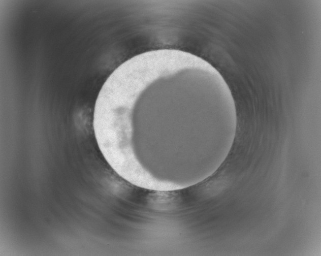 X0000071910672200607212044