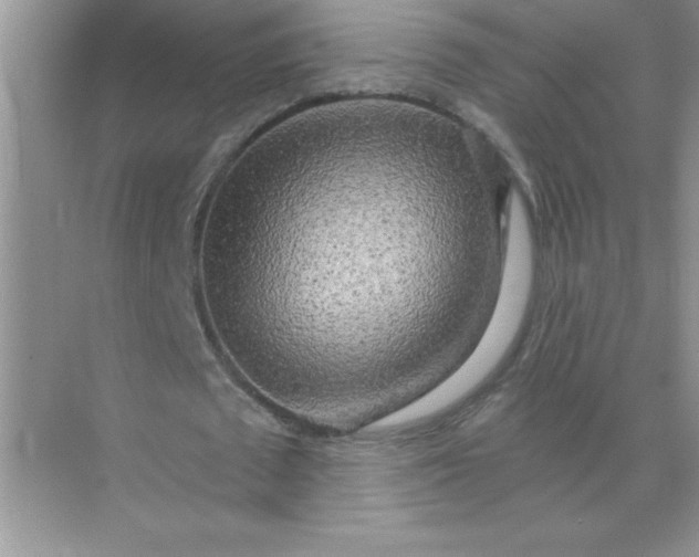 X0000071910673200607212043