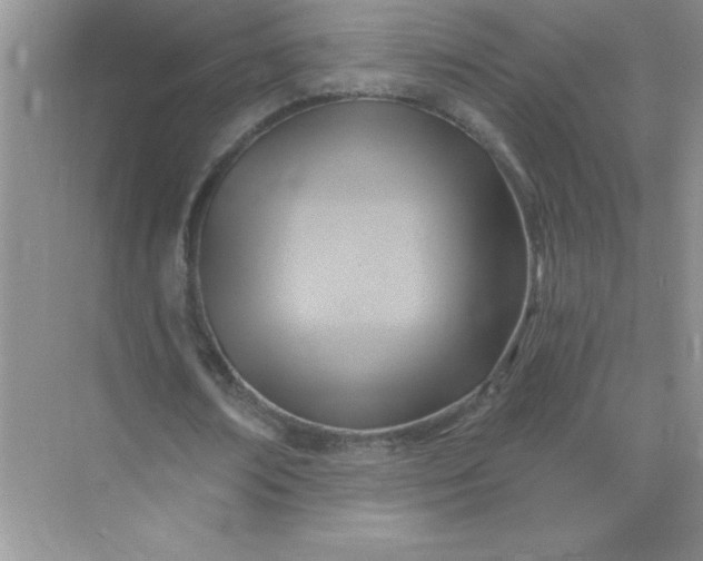 X0000071910674200607212043