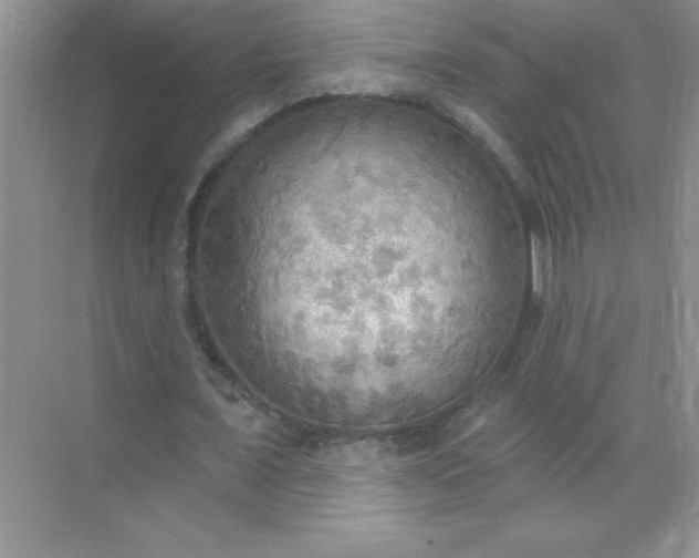 X0000071910675200607212043