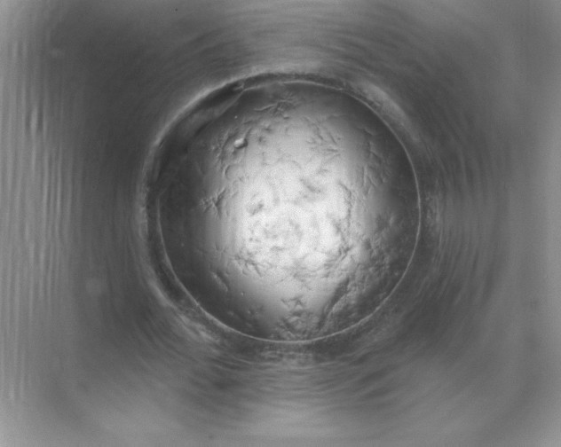 X0000071910676200607212043