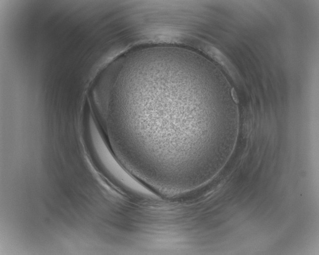 X0000071910677200607212043