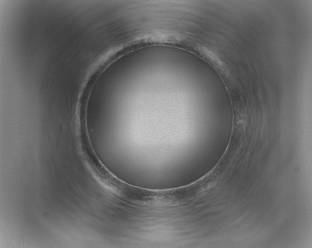 X0000071910678200607212043