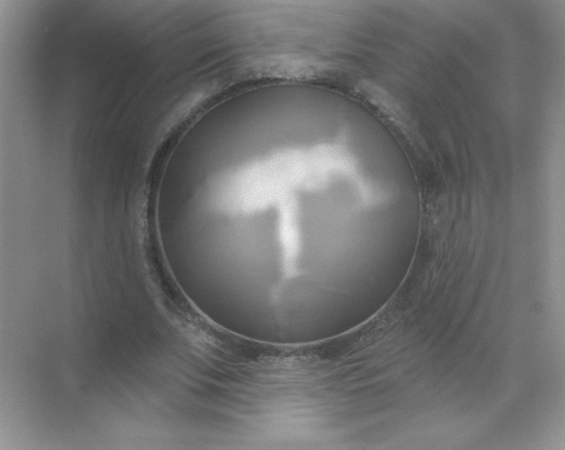 X0000071910679200607212043