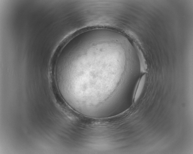 X0000071910680200607212043