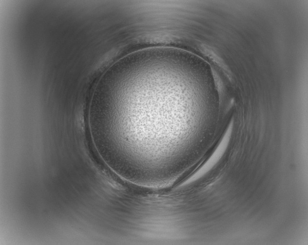 X0000071910681200607212043