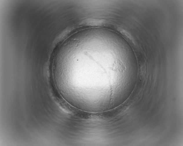 X0000071910682200607212043