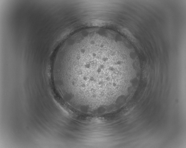 X0000071910683200607212043