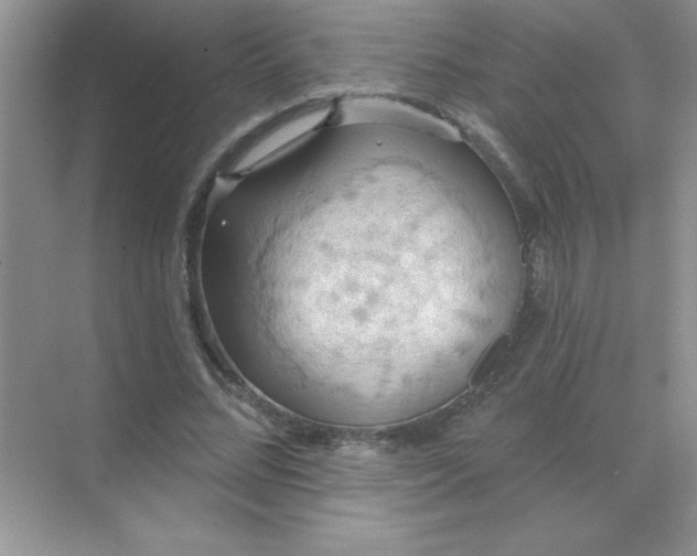 X0000071910684200607212043