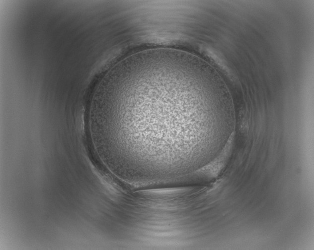 X0000071910685200607212043