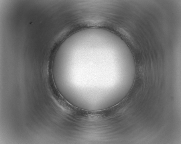 X0000071910686200607212043