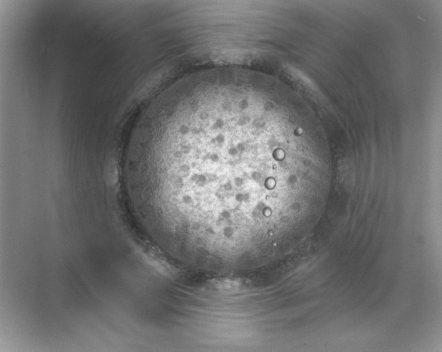 X0000071910687200607212043