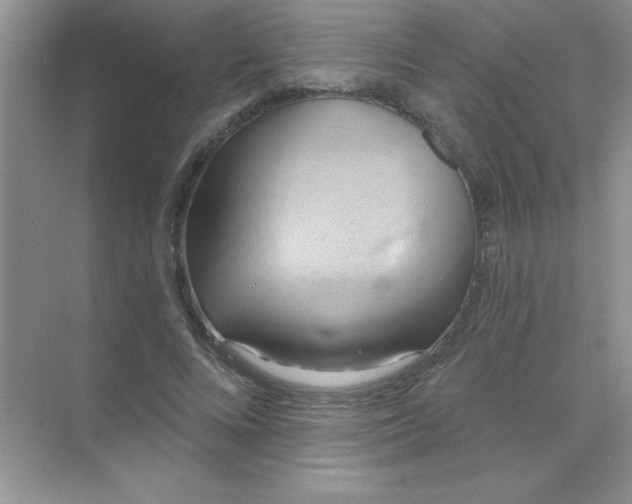 X0000071910688200607212043