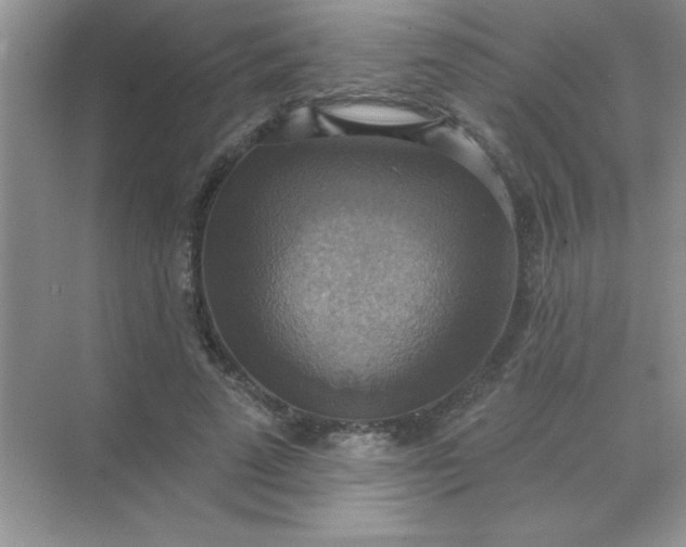 X0000071910689200607212043