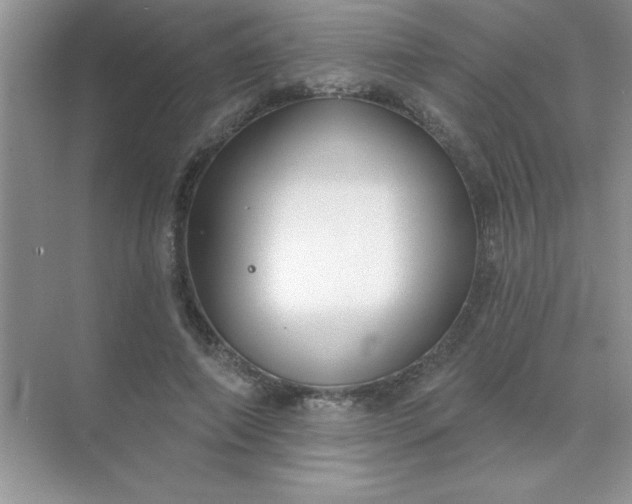 X0000071910690200607212043