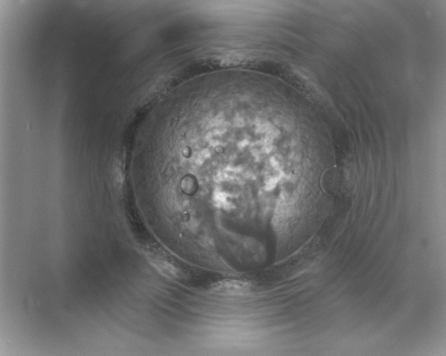 X0000071910691200607212043