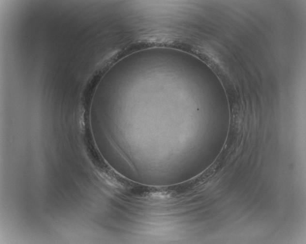 X0000071910692200607212043