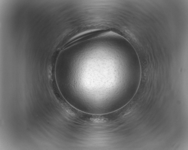 X0000071910693200607212043