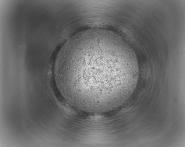 X0000071910695200607212043