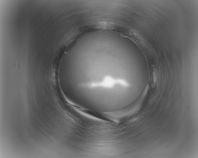 X0000071910696200607212042