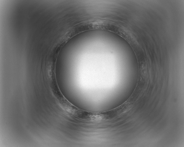 X0000071910698200607212042