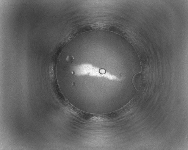 X0000071910699200607212042