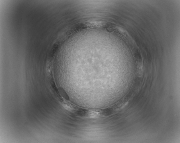 X0000071910701200607212042