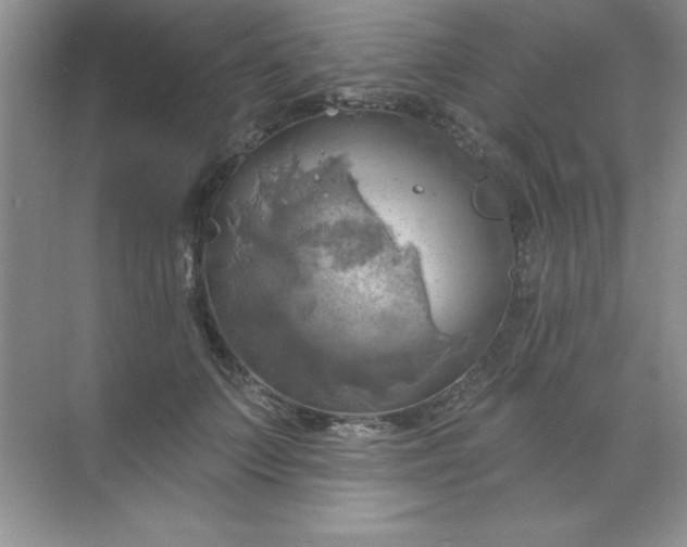 X0000071910703200607212042