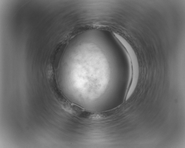 X0000071910704200607212042