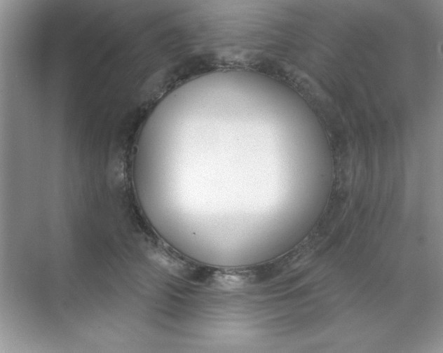 X0000071910706200607212042