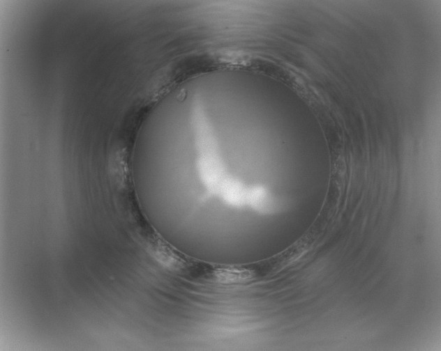 X0000071910707200607212042