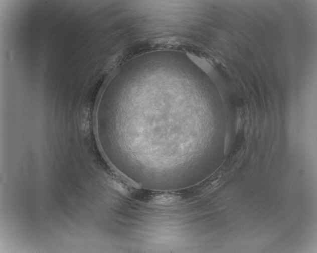 X0000071910708200607212042