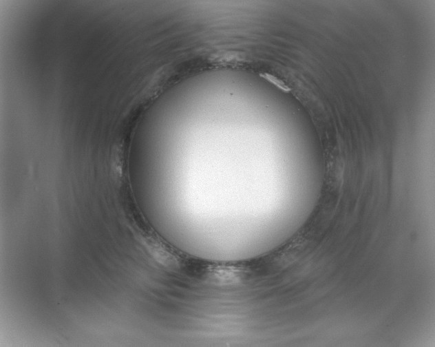 X0000071910710200607212042